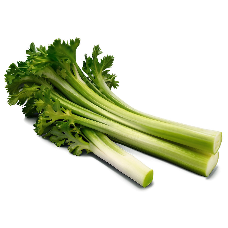 Celery Bundle Png 06252024