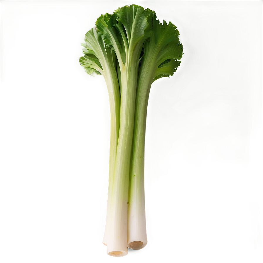 Celery Bundle Png 49