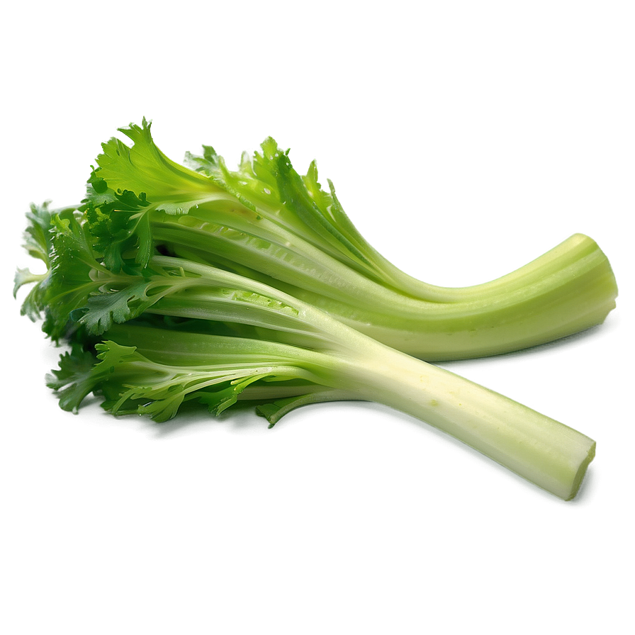 Celery For Cooking Png Sjy20