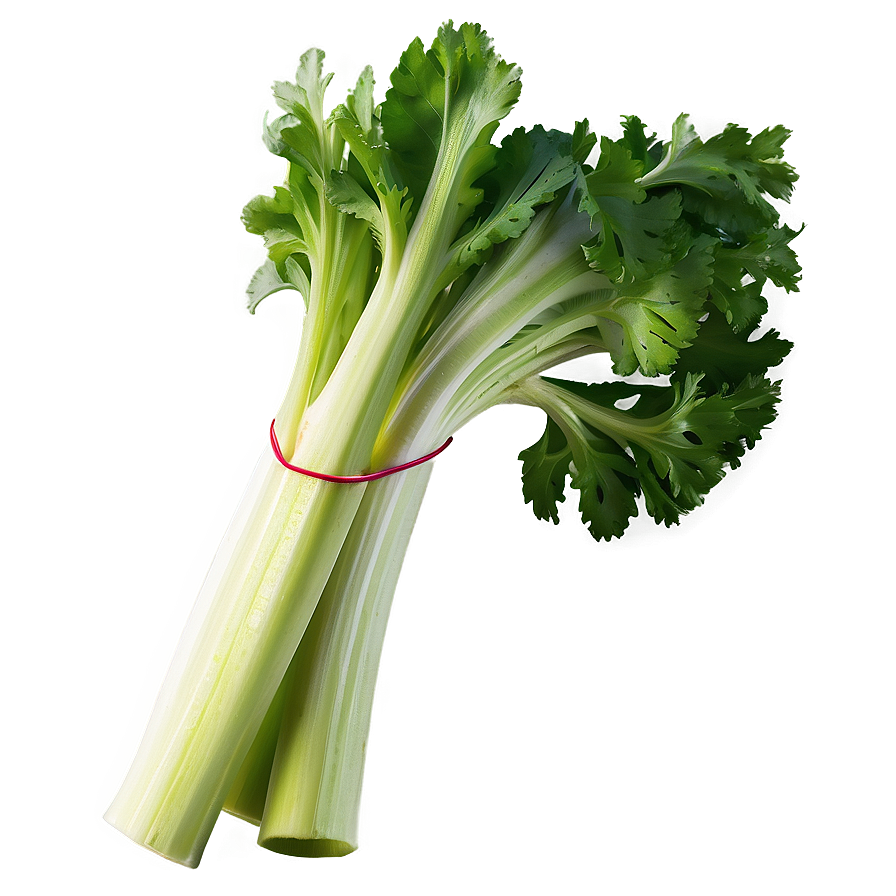 Celery For Detox Png 06252024