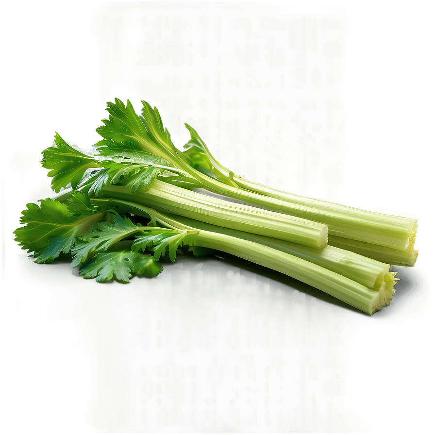 Celery Leaves Png 6