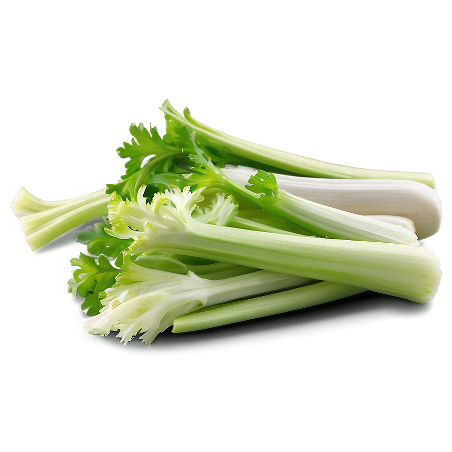 Celery Salad Ingredient Png Bnc99