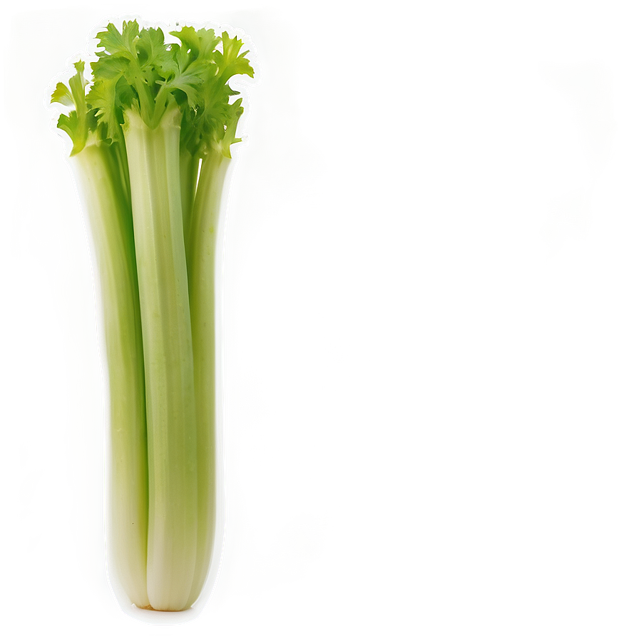 Celery Snack Png Mew83