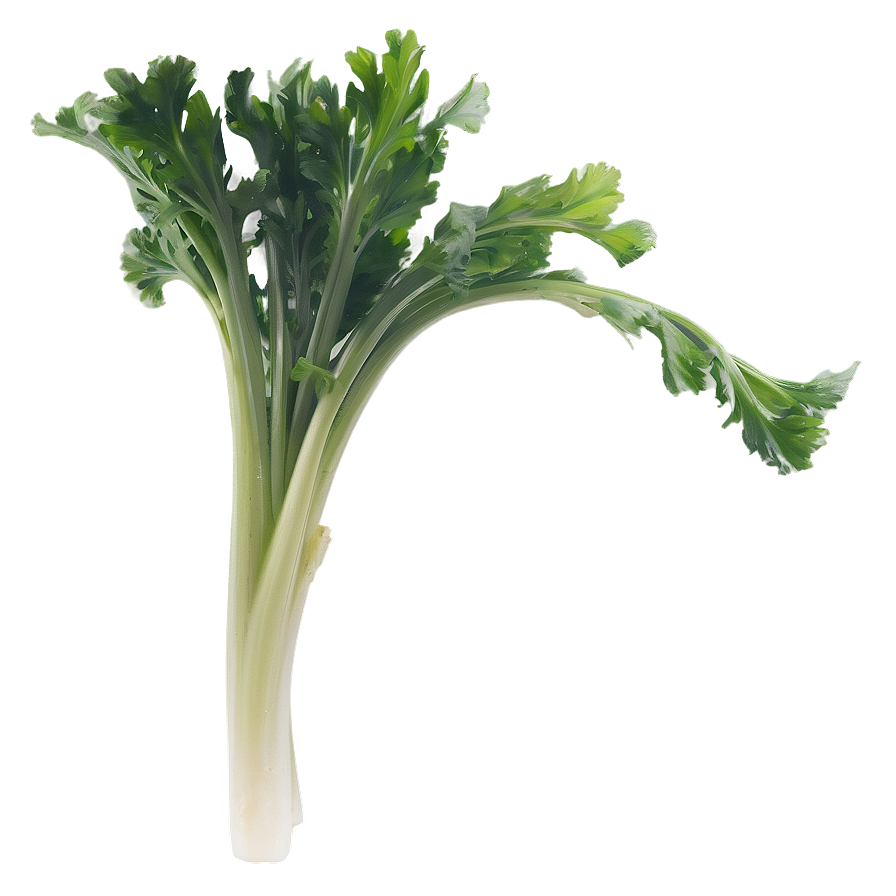 Celery Sprig Png 5