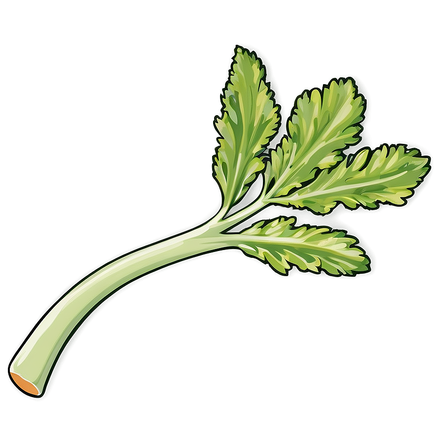 Celery Sprig Png Uir