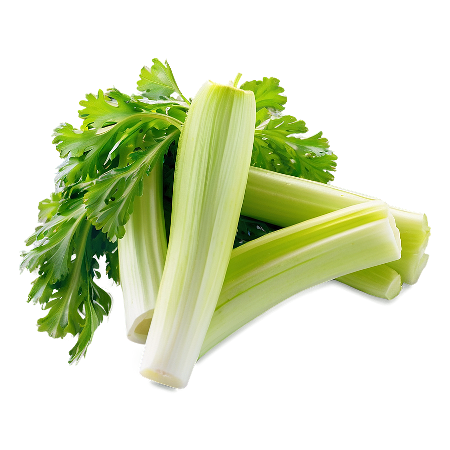 Celery Stalk Png 06252024