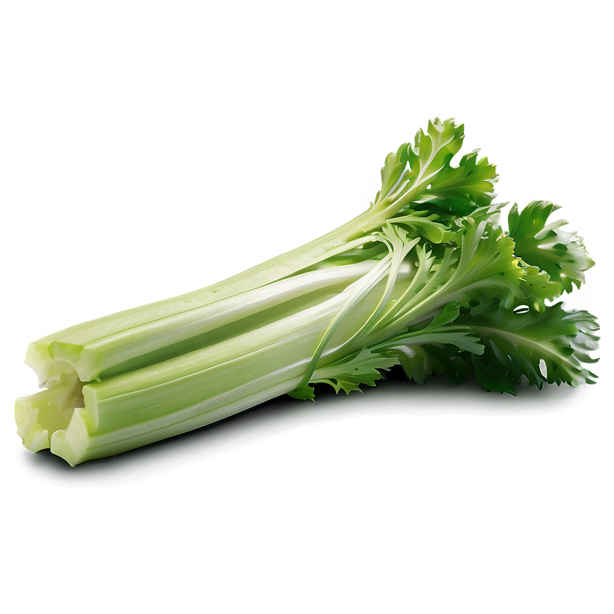 Celery Stalk Png 06252024