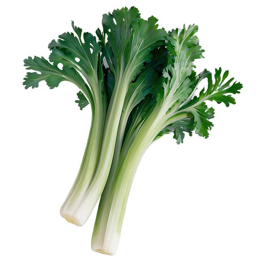 Celery Vegetable Png 06252024