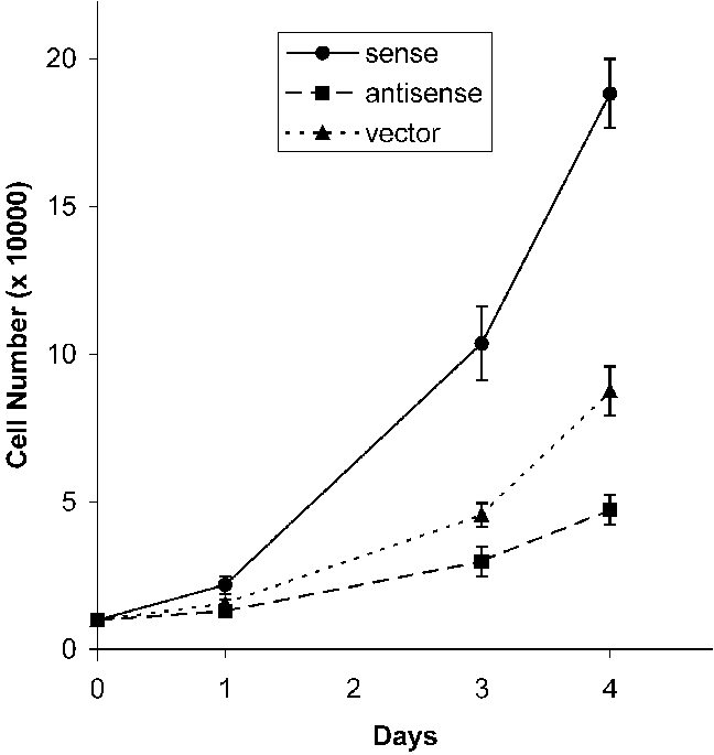 Transparent Celular Vector Png - Plot, Png Download PNG with transparent background