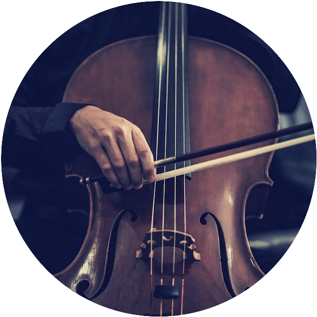 Violin Cello Photography , Png Download - Cello, Transparent Png PNG image with a transparent background, free high-resolution download