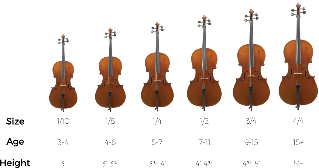 Cello Sizes Comparison Chart