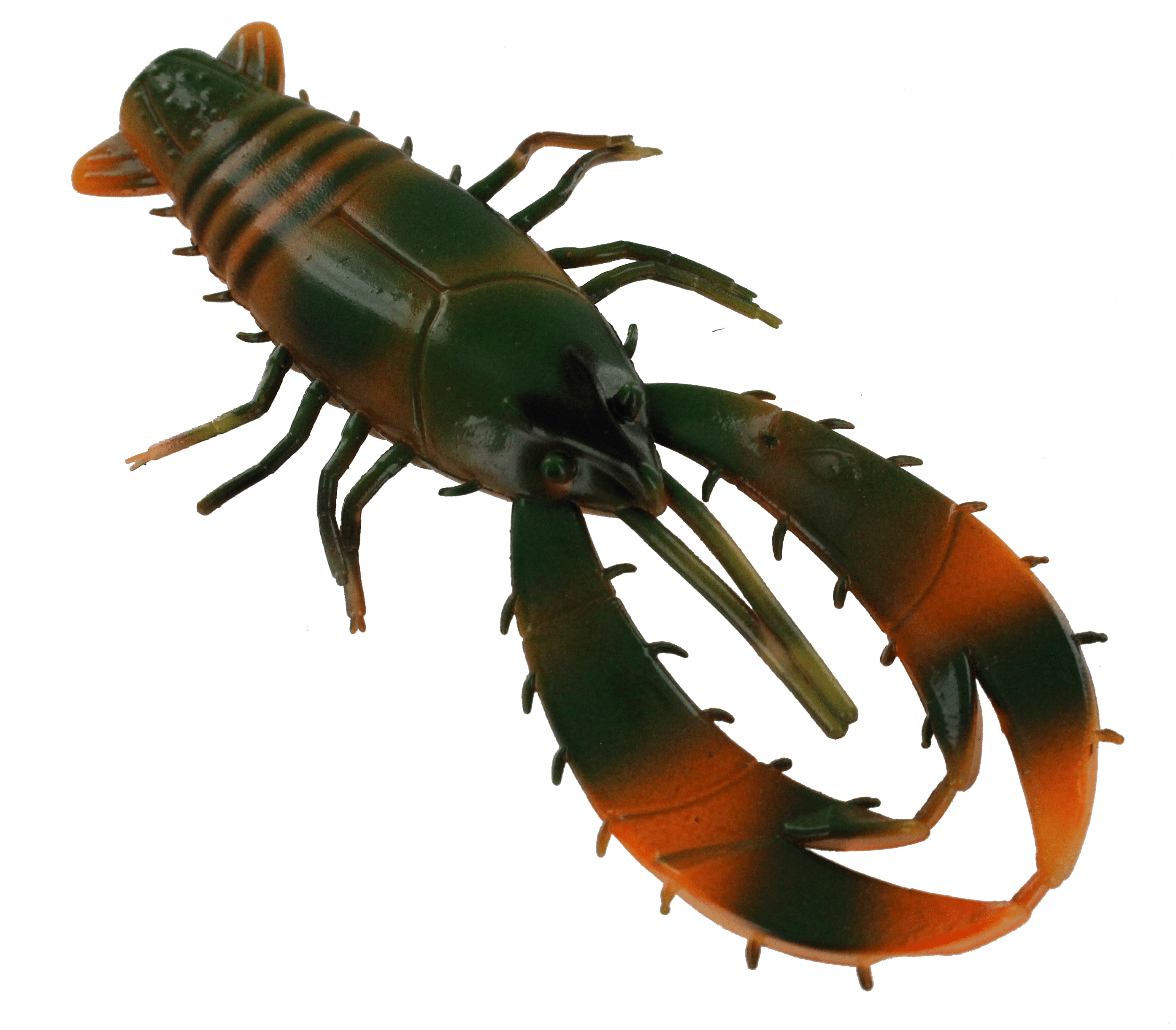 Centipede Illustration Transparent Background