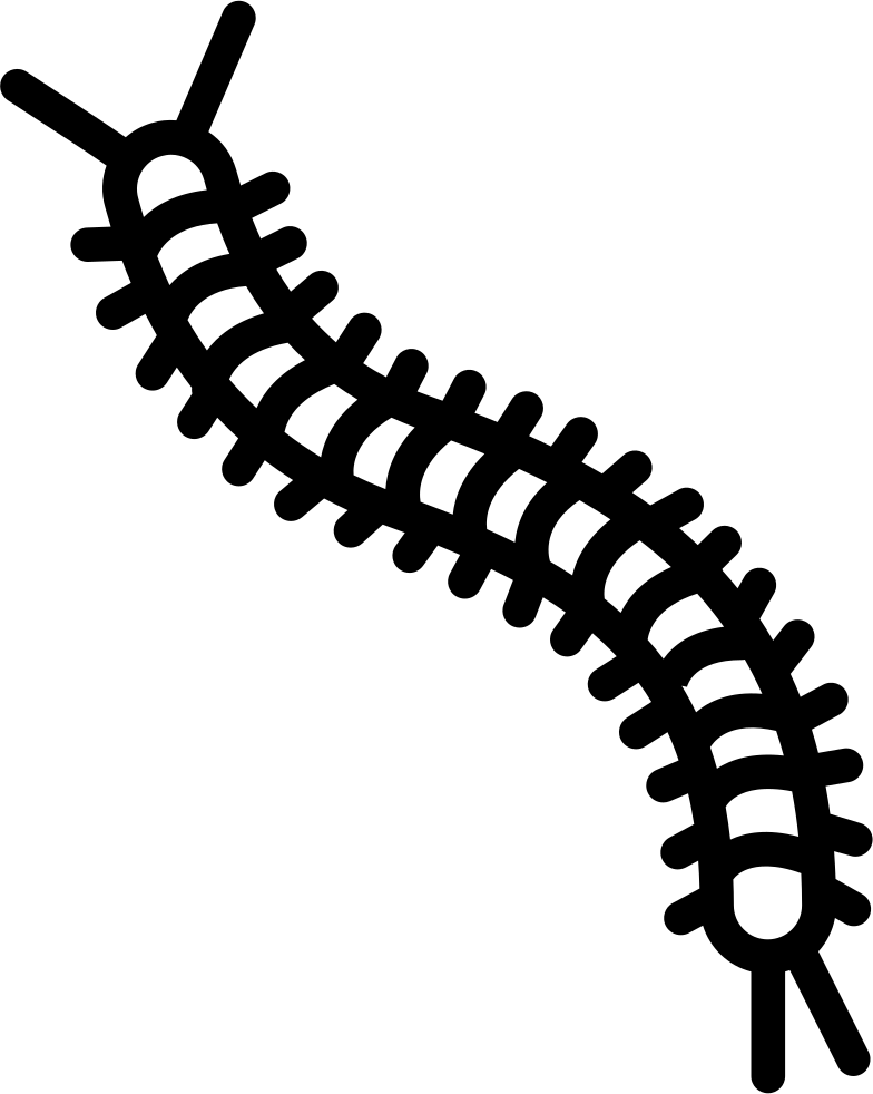 Centipede Silhouette Graphic