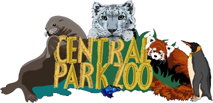 Central Park Zoo Animal Montage