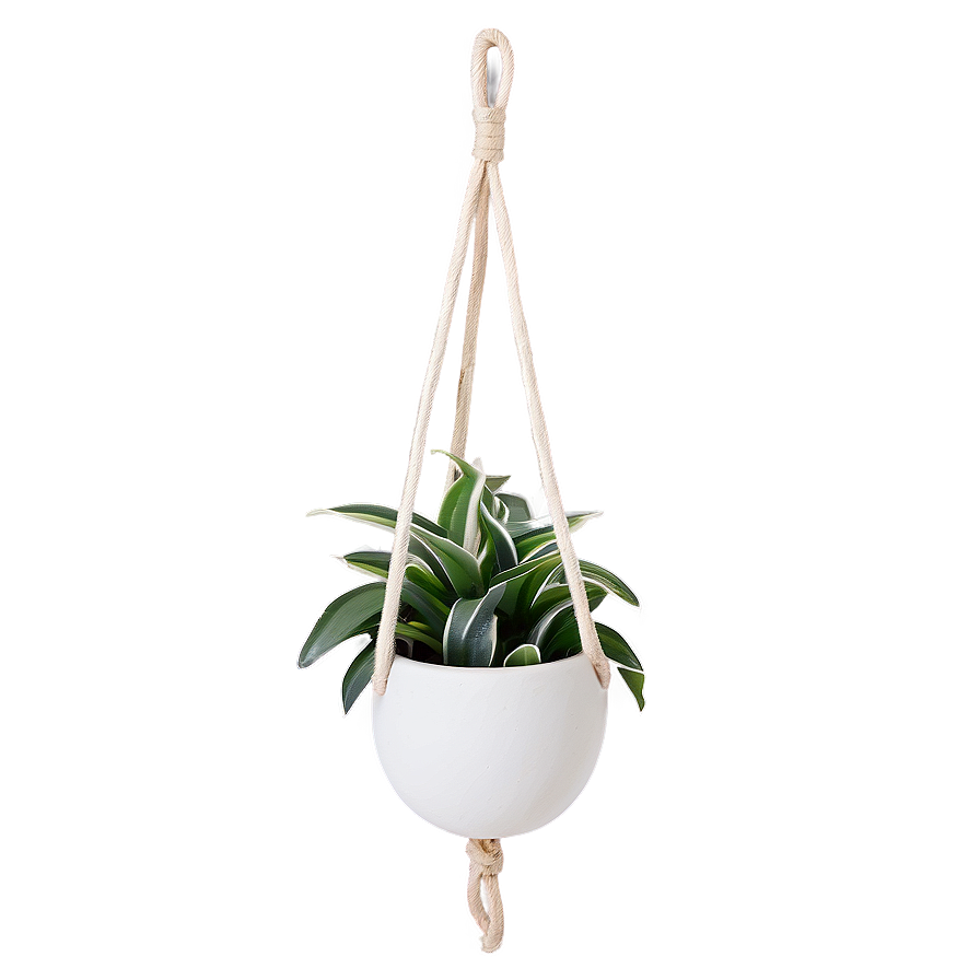 Ceramic Hanging Plant Png Llf