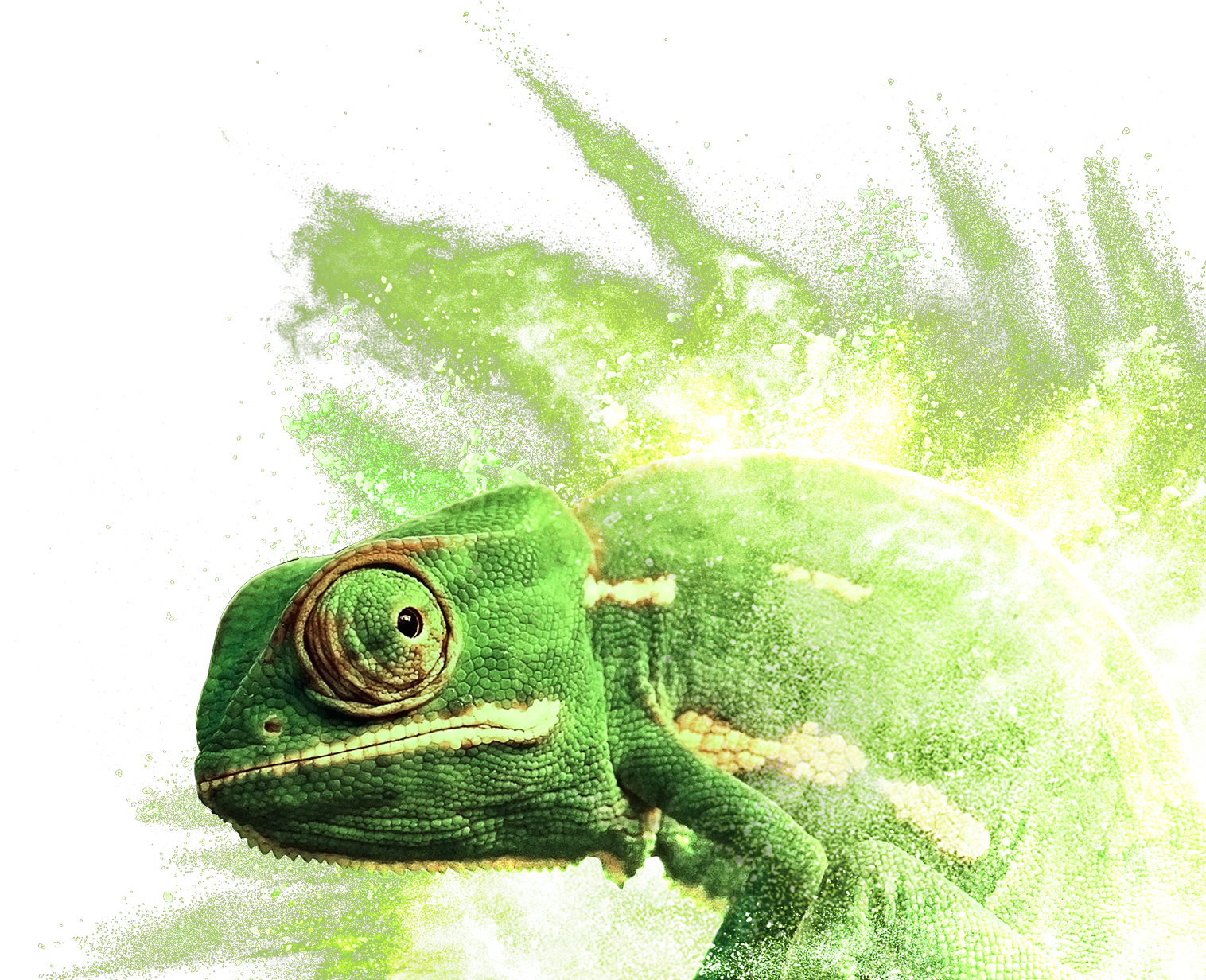 Chameleon Digital Artwork