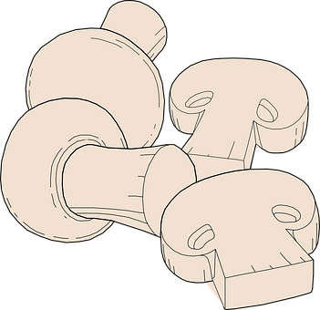 Champignon Mushroom Illustration PNG with transparent background