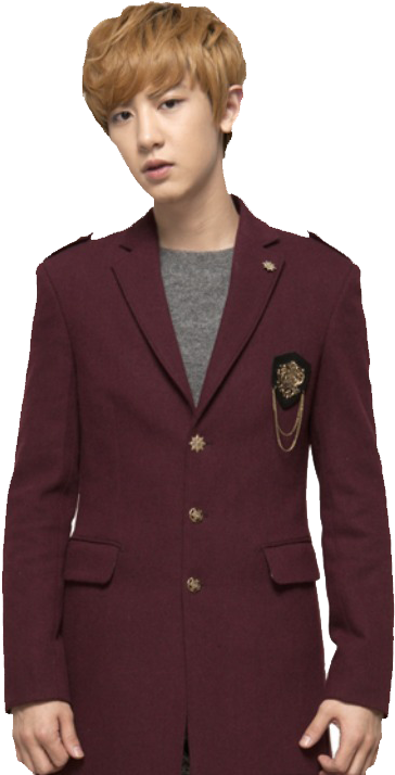 Chanyeolin Maroon Blazer