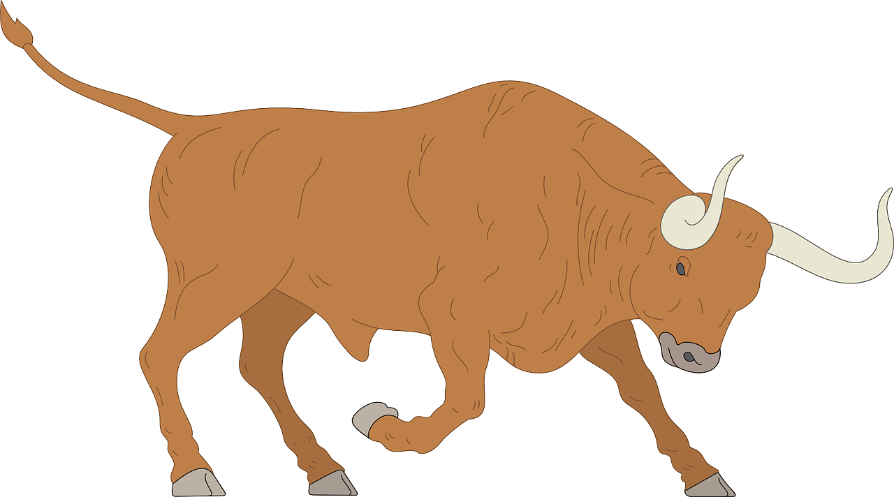 Charging Bull Illustration PNG with transparent background
