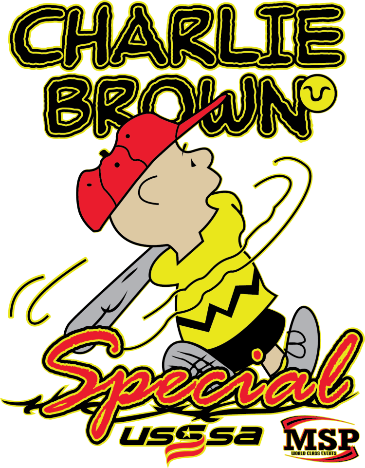 Charlie Brown Baseball Special Illustration