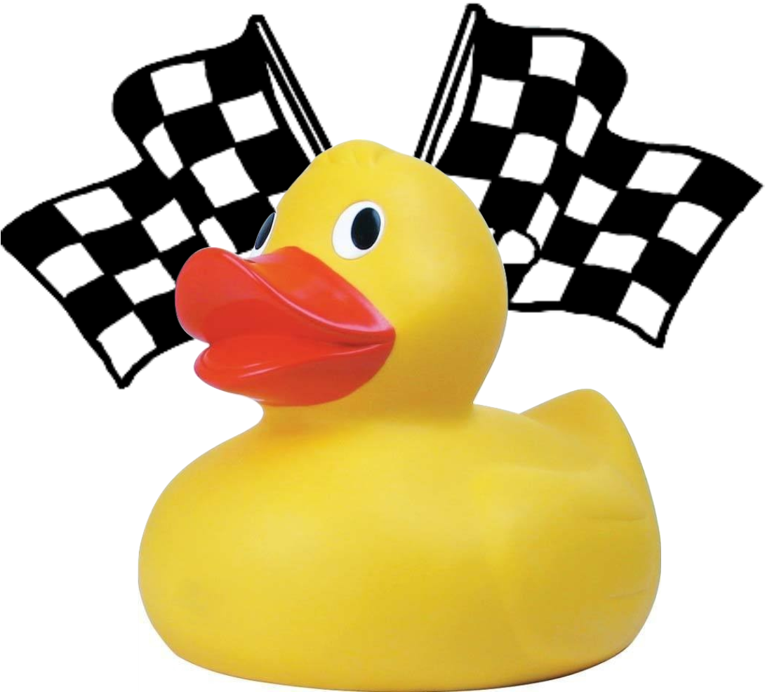 Adopt A Duck For The Family Center » Ducks - Checkered Flag Black And White PNG with transparent background