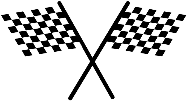 Checkered Flag Vector - Checkered Flag On White, HD Png Download PNG with transparent background