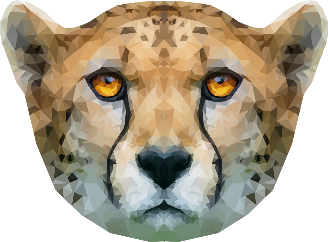 Cheetah Head Png, Transparent Png PNG with transparent background