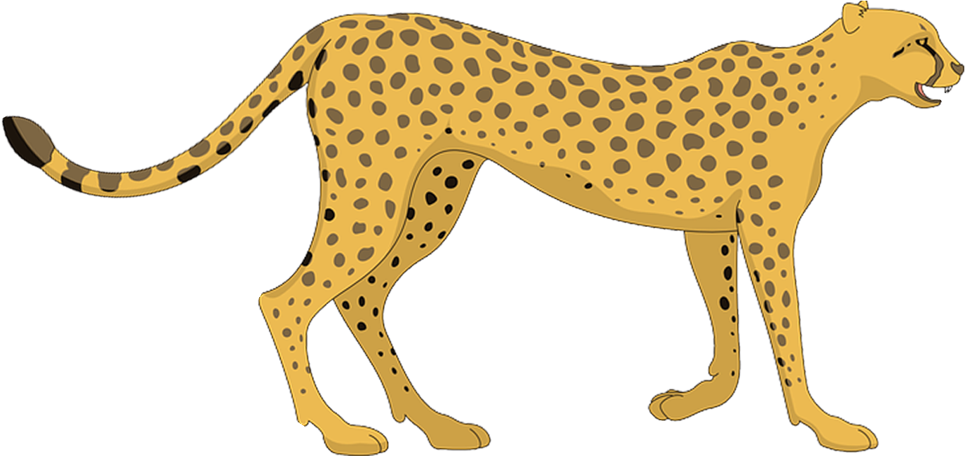 Cheetah Illustration Side View