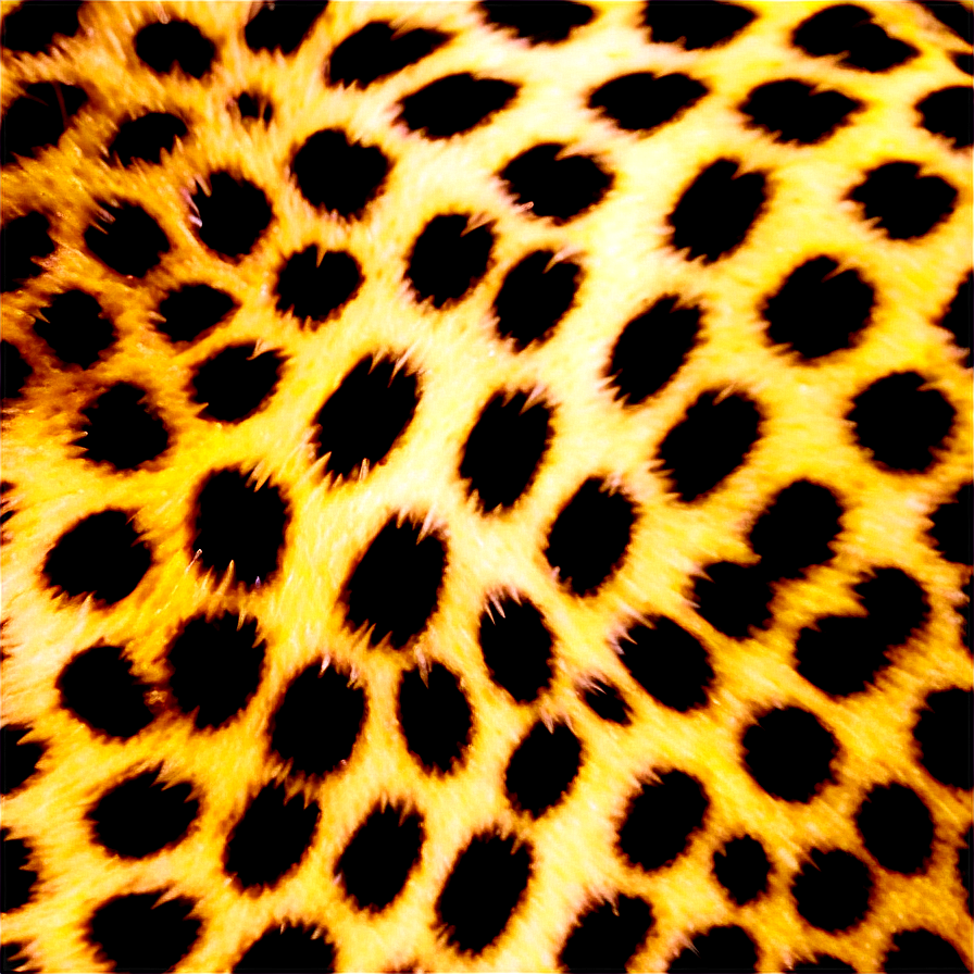 Cheetah Print Closeup View Png 4