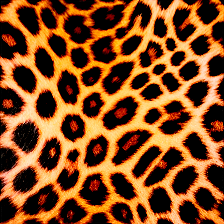 Cheetah Print For Print And Web Png 69