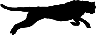 Cheetah Running Png Hd Image - Puma, Transparent Png PNG with transparent background