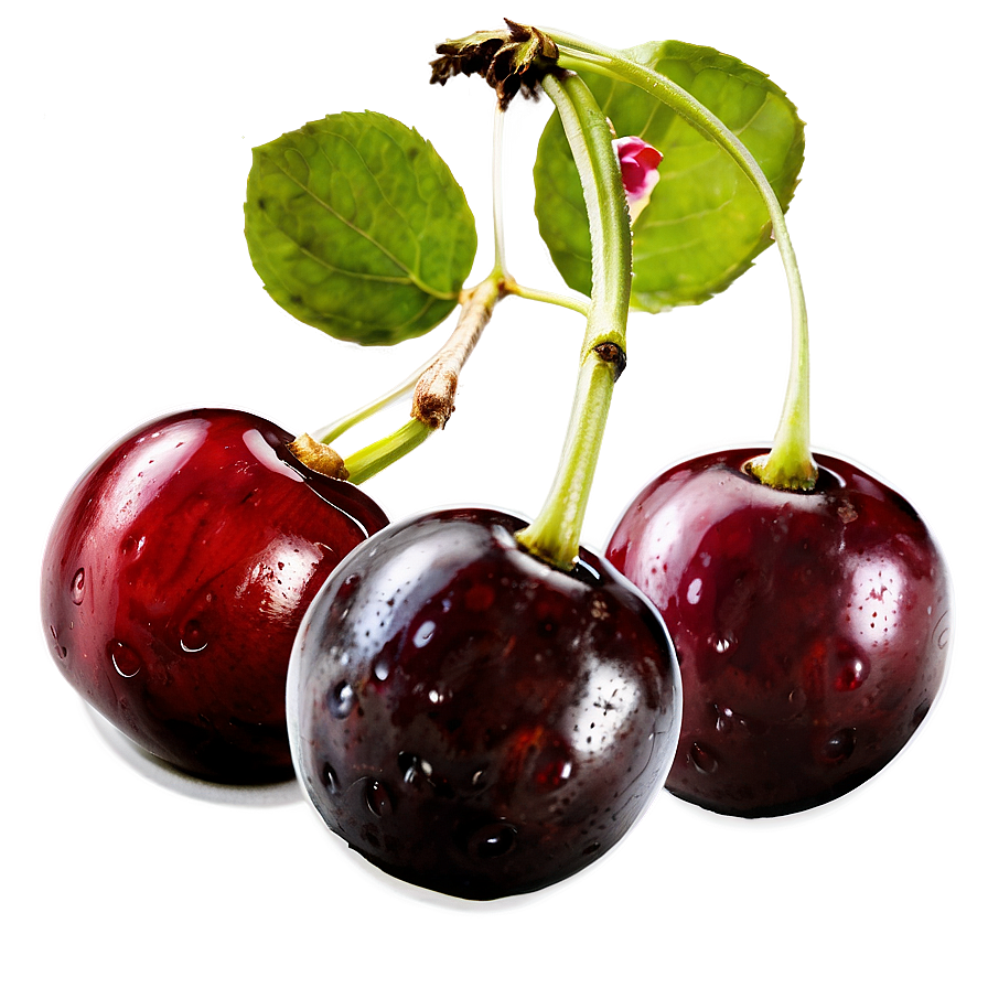 Cherries Isolated PNG 06212024 PNG with transparent background