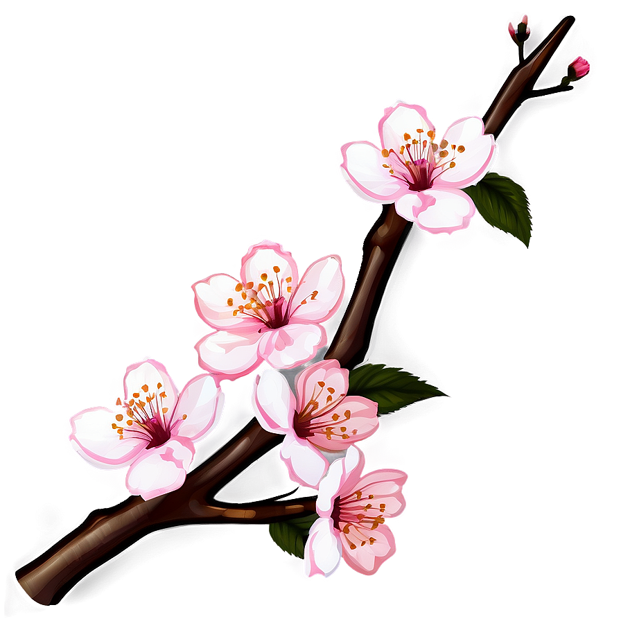 Cherry Blossom Branch Design PNG 05032024 PNG with transparent background