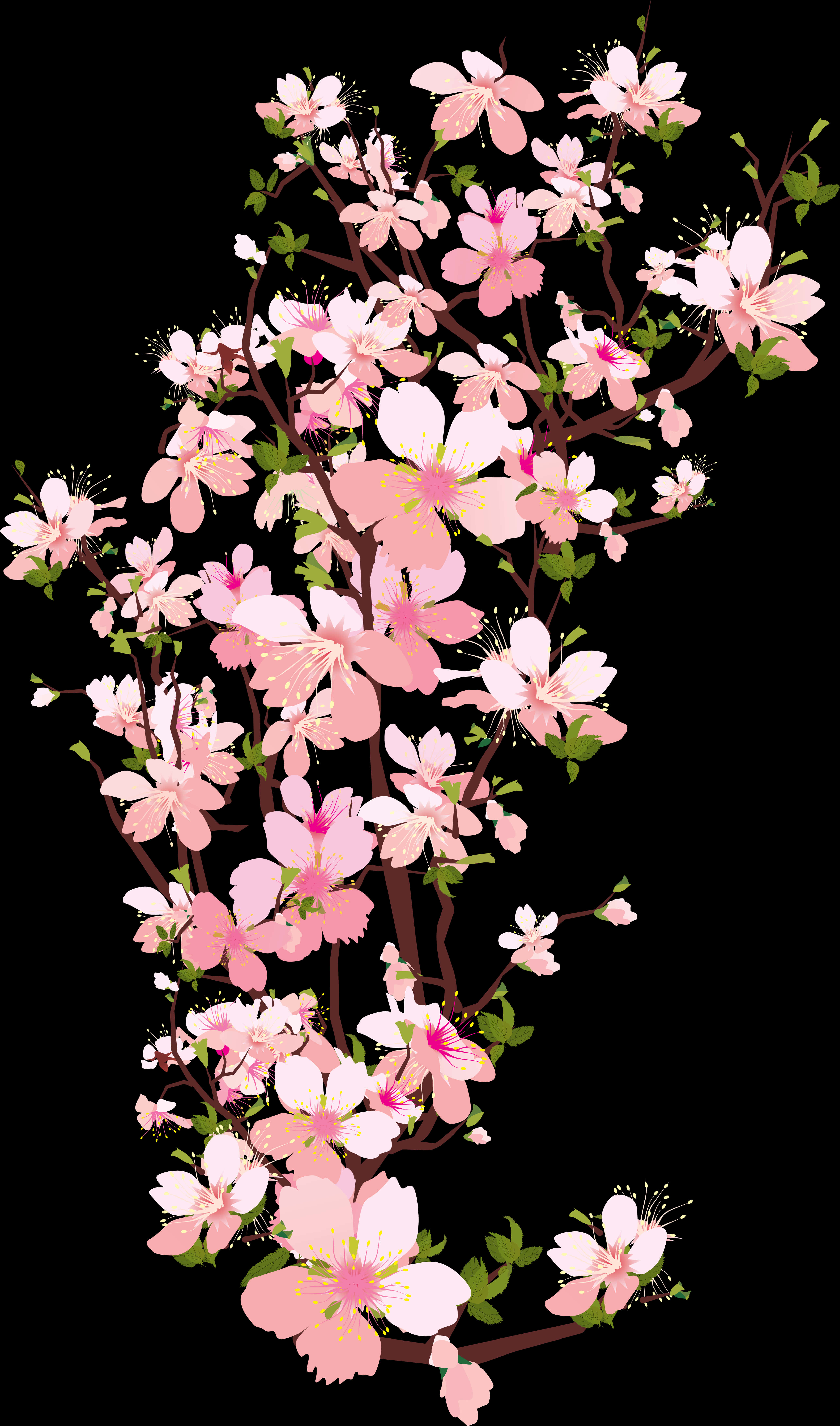 Cherry Blossom Branches Artwork