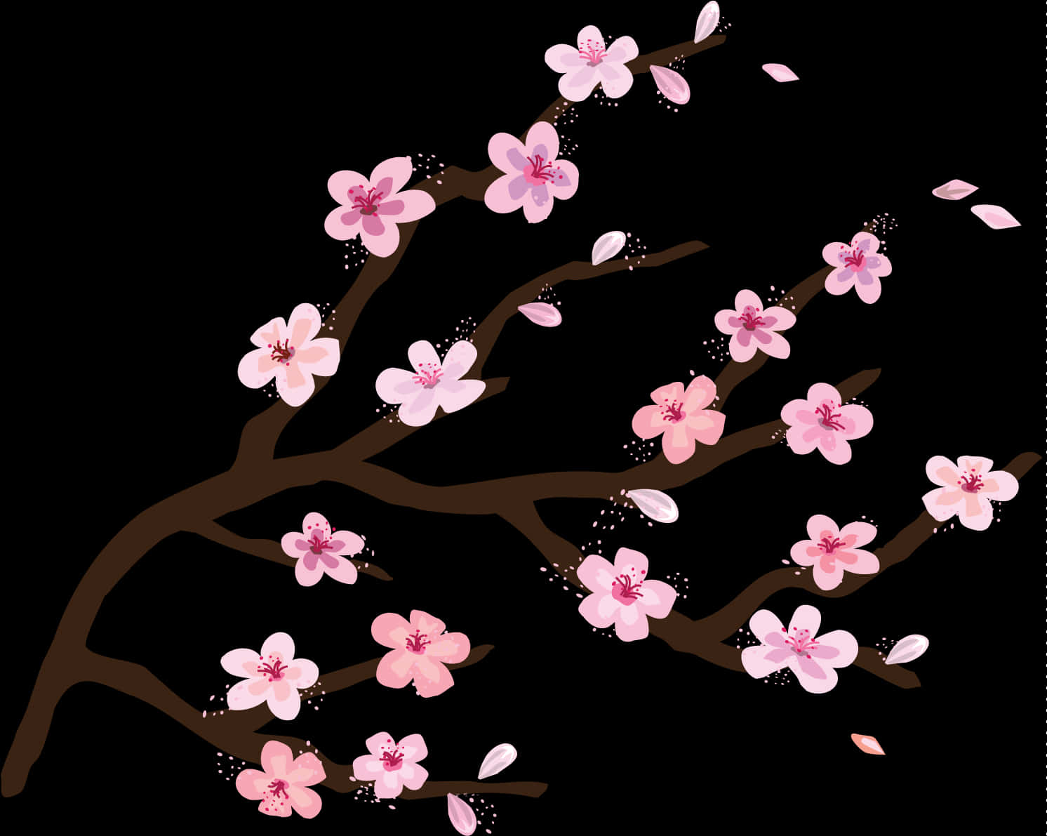 Cherry Blossom Branches Illustration PNG with transparent background