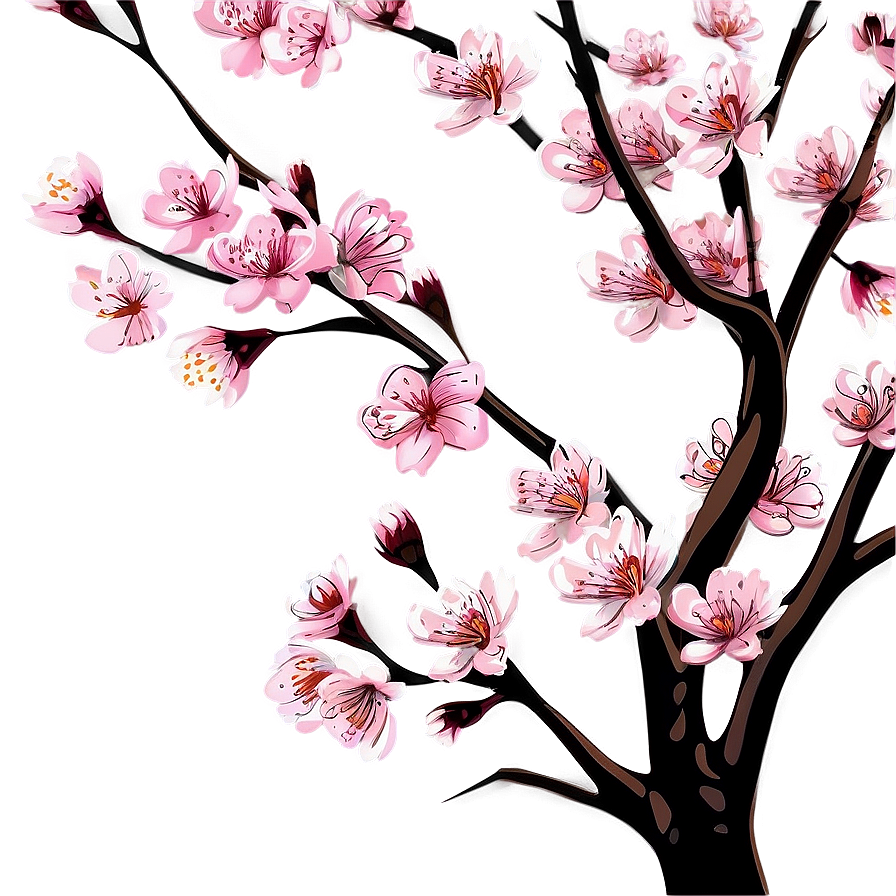 Cherry Blossom Drawing Png 28