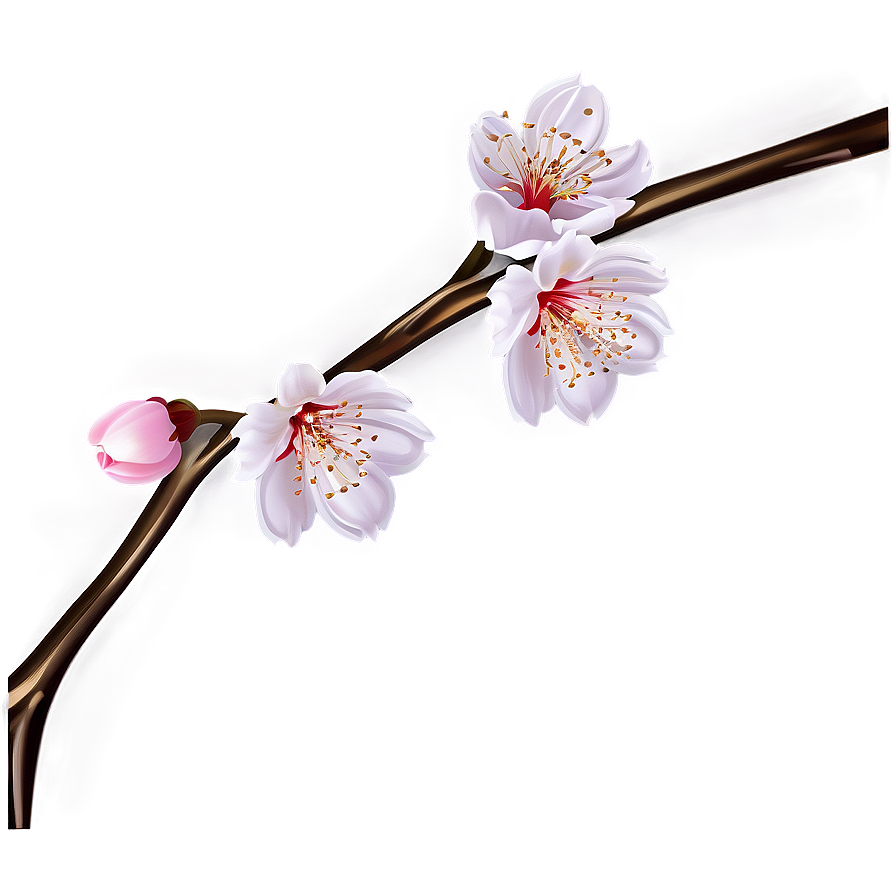 Cherry Blossom Festival Graphics PNG 40 PNG with transparent background