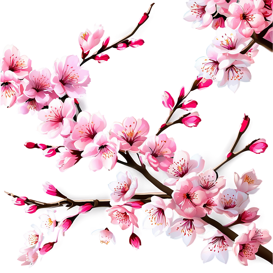 Cherry Blossom Festival Graphics PNG aya73 PNG with transparent background