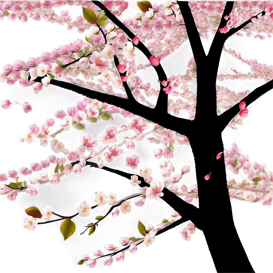 Cherry Blossom Night Png Lsi