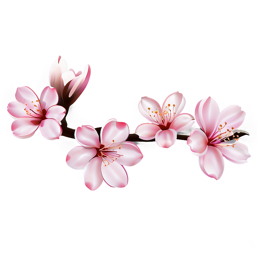 Cherry Blossom Outline Png Occ87