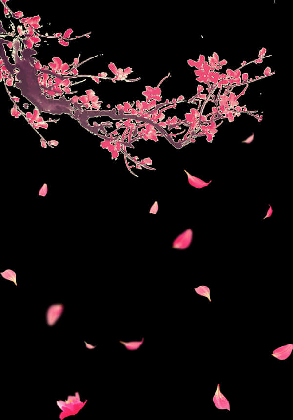 Cherry Blossom Petals Falling