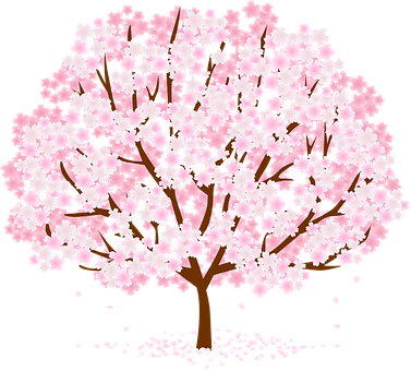 Cherry Blossom Tree Illustration