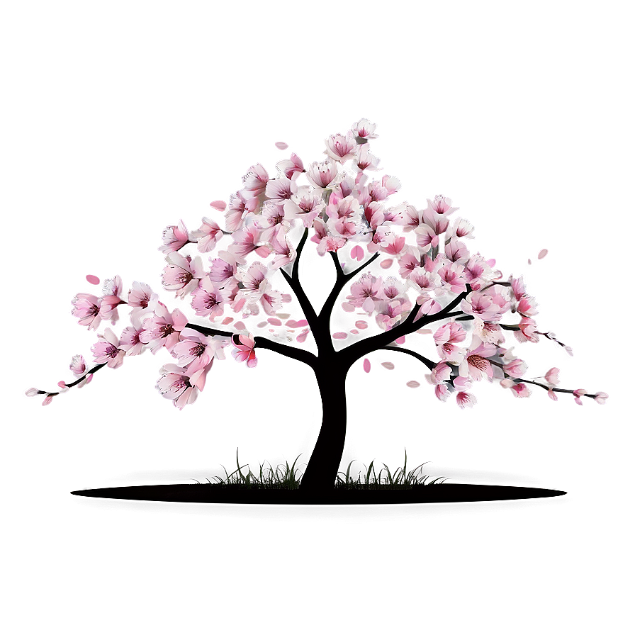 Cherry Blossom Tree Scene Png 05242024