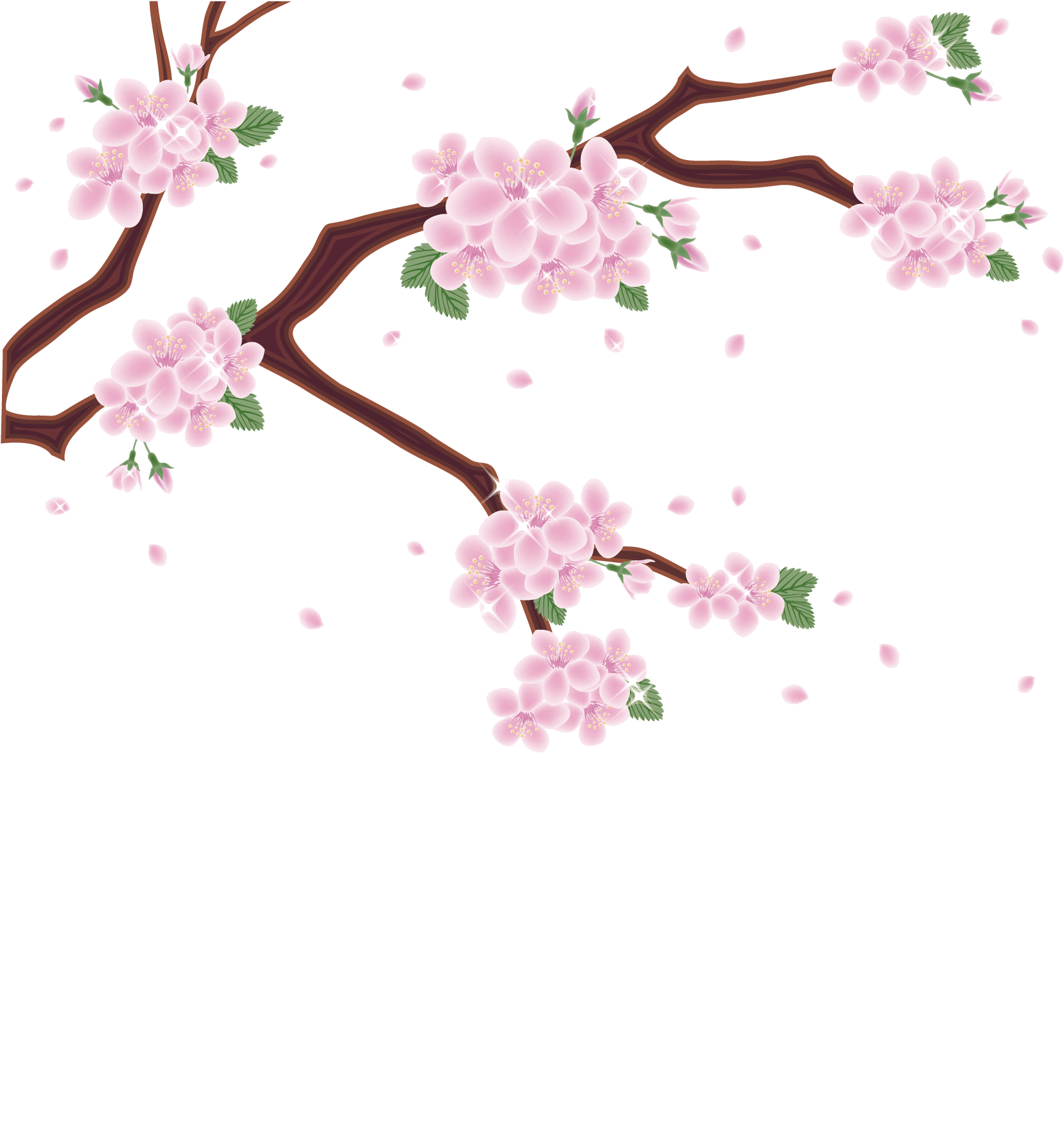 Cherry Blossoms Artistic Representation