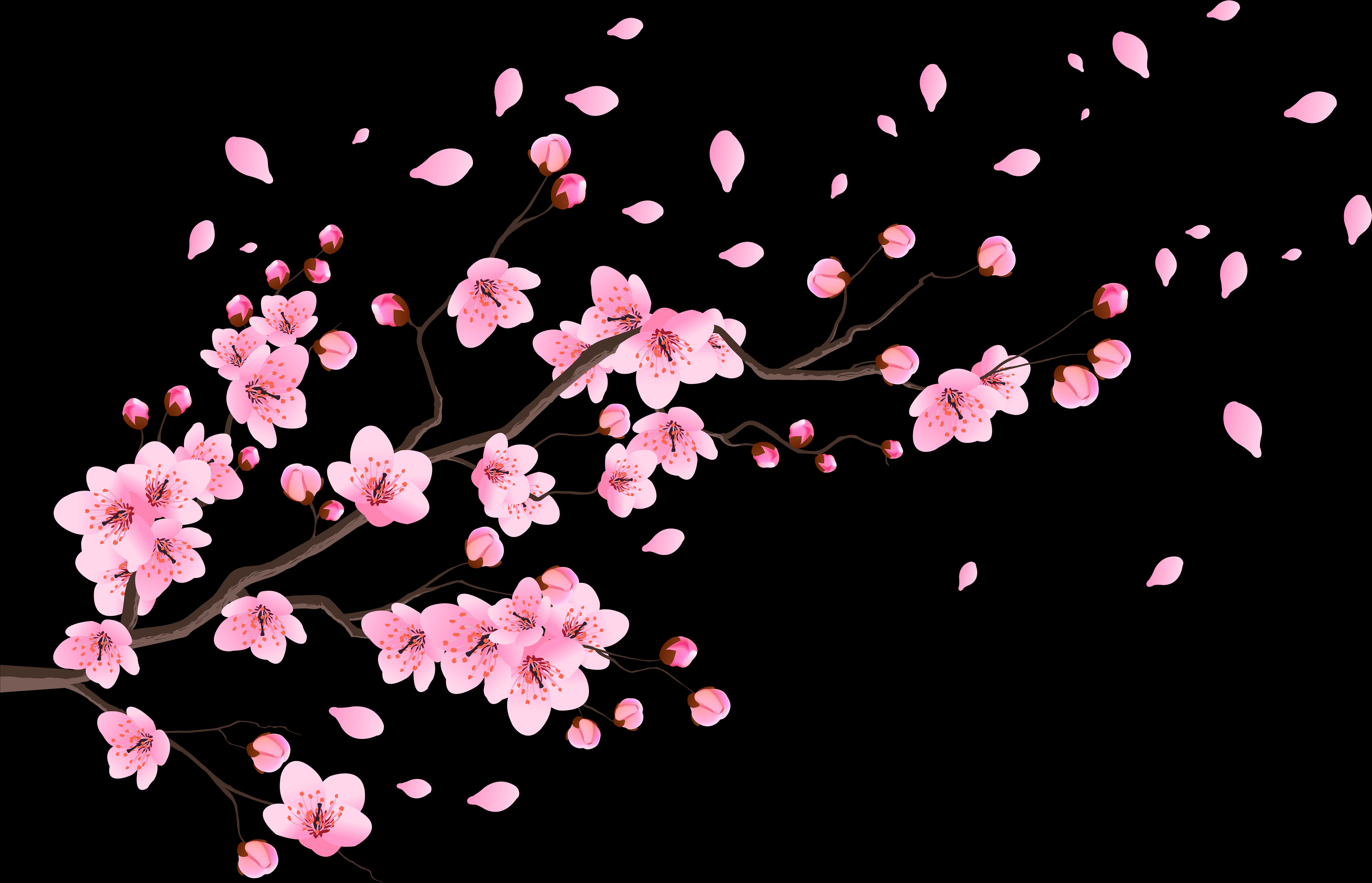Cherry Blossom Petals Png - Transparent Spring Cherry Blossom Clipart, Png Download