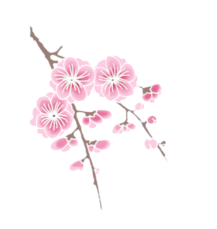 Cherry Blossomson Branch PNG with transparent background