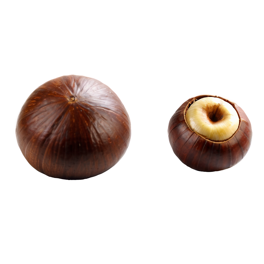 Chestnut Png 06122024