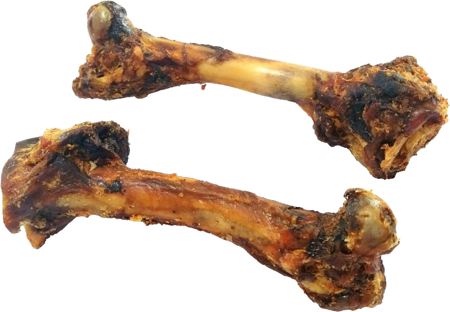 Chewed Dog Bones PNG with transparent background