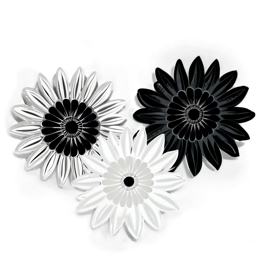 Chic Black And White Flowers Png Ent