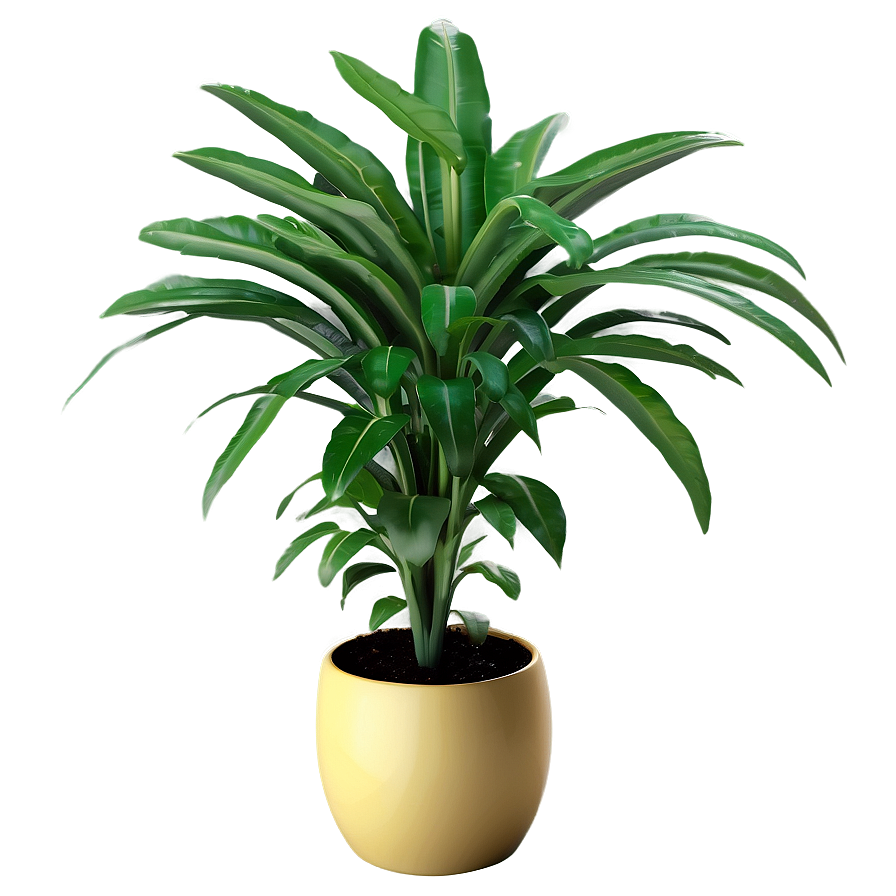 Chic Floor Plant Png 06282024